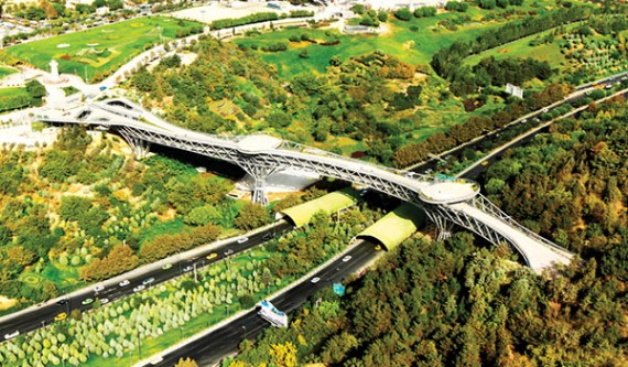 پل طبیعت در تور یک روزه تهران گردی